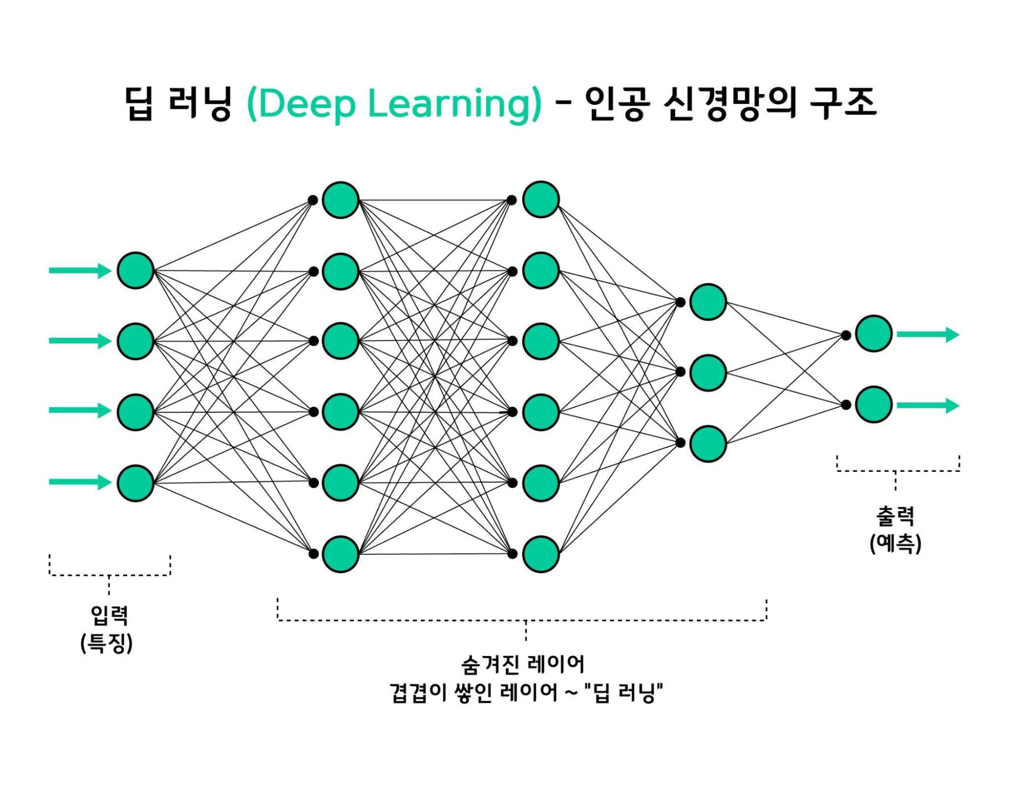 딥러닝 기본 구조